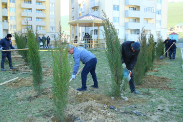 Xocəsən  qəsəbəsi,  Sulutəpə  yaşayış  massivində  yerləşən  şəhid  və  qazi ailələrinin  yaşadıqları  şəhərcikdə ümumilli lider  Heydər  Əliyevin 100 illik  yubileyi ilə əlaqədar ağacəkmə aksiyası