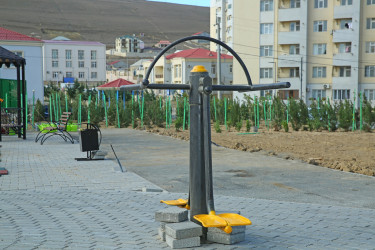 Zəfər Günün beşinci ildönümü münasibətilə ağacəkmə aksiyası