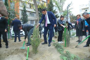 Binəqədi rayonunda yeni yaradılmış nümunəvi məhəllədə “Heydər Əliyev İli” çərçivəsində 8 Noyabr-Zəfər Gününə həsr olunmuş ağacəkmə aksiyası