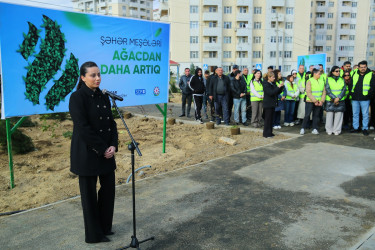 Zəfər Günün beşinci ildönümü münasibətilə ağacəkmə aksiyası