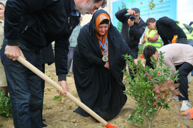 Zəfər Günün beşinci ildönümü münasibətilə ağacəkmə aksiyası