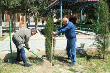 Binəqədi Rayon İcra Hakimiyyəti və Binəqədi bələdiyyəsinin təşkilatçılığı ilə ağacəkmə aksiyası