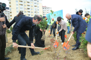 Zəfər Günün beşinci ildönümü münasibətilə ağacəkmə aksiyası