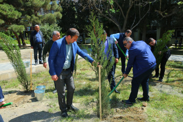 Binəqədi Rayon İcra Hakimiyyəti və Binəqədi bələdiyyəsinin təşkilatçılığı ilə ağacəkmə aksiyası