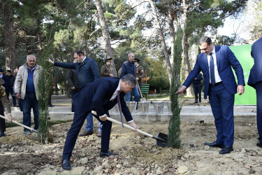 Binəqədi rayonu Ramiz Aboyev adına mədəniyyət və istirahət parkında Ümummilli Lider Heydər Əliyevin anadan olmasının 100-cü ildönümü münasibətilə ağacəkmə aksiyası