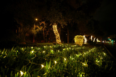 Yenil ilə hazırlıq - 2026