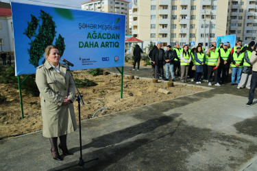 Zəfər Günün beşinci ildönümü münasibətilə ağacəkmə aksiyası
