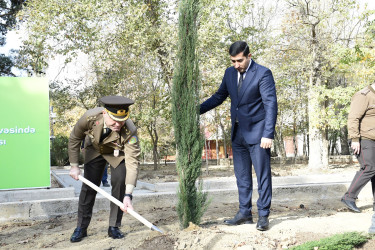 Binəqədi rayonu Ramiz Aboyev adına mədəniyyət və istirahət parkında Ümummilli Lider Heydər Əliyevin anadan olmasının 100-cü ildönümü münasibətilə ağacəkmə aksiyası