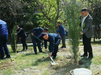 Binəqədi Rayon İcra Hakimiyyəti və Binəqədi bələdiyyəsinin təşkilatçılığı ilə ağacəkmə aksiyası