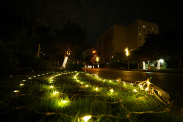 Yenil ilə hazırlıq - 2026