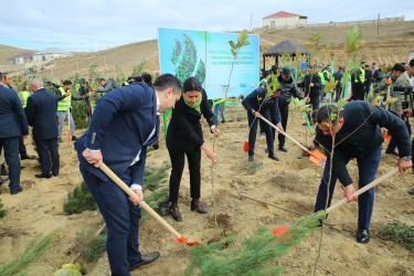 Zəfər Günün beşinci ildönümü münasibətilə ağacəkmə aksiyası