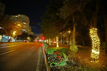 Yenil ilə hazırlıq - 2026