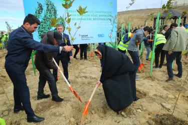 Zəfər Günün beşinci ildönümü münasibətilə ağacəkmə aksiyası