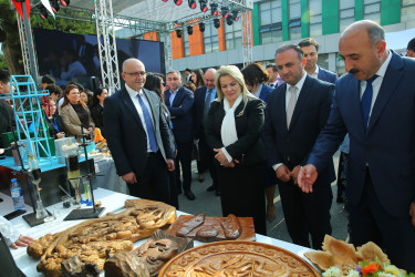 “Bir Peşənin Sirri” festivalı