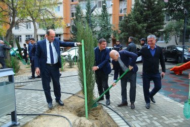 Binəqədi rayonunda yeni yaradılmış nümunəvi məhəllədə “Heydər Əliyev İli” çərçivəsində 8 Noyabr-Zəfər Gününə həsr olunmuş ağacəkmə aksiyası