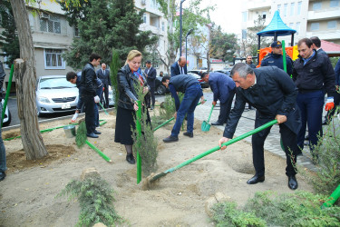 Binəqədi rayonunda yeni yaradılmış nümunəvi məhəllədə “Heydər Əliyev İli” çərçivəsində 8 Noyabr-Zəfər Gününə həsr olunmuş ağacəkmə aksiyası