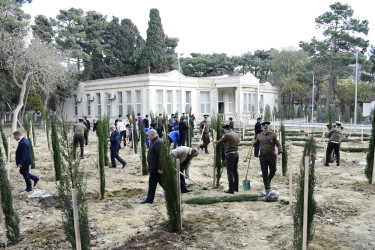 Binəqədi rayonu Ramiz Aboyev adına mədəniyyət və istirahət parkında Ümummilli Lider Heydər Əliyevin anadan olmasının 100-cü ildönümü münasibətilə ağacəkmə aksiyası