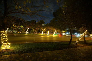 Yenil ilə hazırlıq - 2026