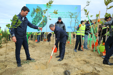 Zəfər Günün beşinci ildönümü münasibətilə ağacəkmə aksiyası