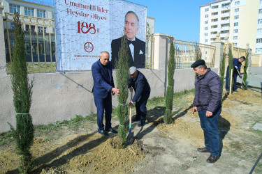 Xocəsən  qəsəbəsi,  Sulutəpə  yaşayış  massivində  yerləşən  şəhid  və  qazi ailələrinin  yaşadıqları  şəhərcikdə ümumilli lider  Heydər  Əliyevin 100 illik  yubileyi ilə əlaqədar ağacəkmə aksiyası