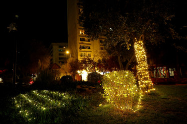 Yenil ilə hazırlıq - 2026